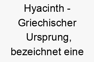 hyacinth griechischer ursprung bezeichnet eine blumenart bedeutung als hundename perfekt fuer einen schoenen eleganten hund 14683