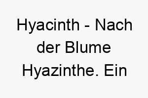 hyacinth nach der blume hyazinthe ein huebscher blumiger name fuer einen hund 20069