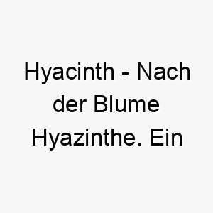 hyacinth nach der blume hyazinthe ein huebscher blumiger name fuer einen hund 20069