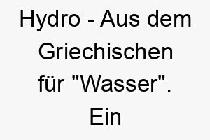 hydro aus dem griechischen fuer wasser ein toller name fuer einen hund der das wasser liebt 20061