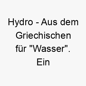 hydro aus dem griechischen fuer wasser ein toller name fuer einen hund der das wasser liebt 20061