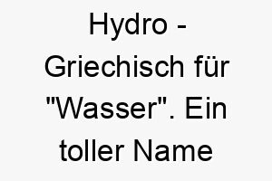 hydro griechisch fuer wasser ein toller name fuer einen hund der wasser liebt 19980