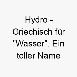 hydro griechisch fuer wasser ein toller name fuer einen hund der wasser liebt 19980