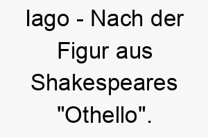 iago nach der figur aus shakespeares othello ein dramatischer name fuer einen hund mit einer starken persoenlichkeit 20388