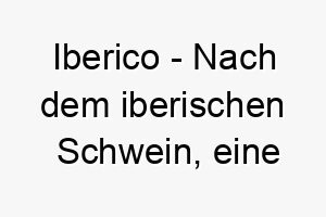 iberico nach dem iberischen schwein eine schweinerasse aus spanien und portugal ein einzigartiger und kulturell angehauchter name fuer einen hund 20477