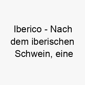 iberico nach dem iberischen schwein eine schweinerasse aus spanien und portugal ein einzigartiger und kulturell angehauchter name fuer einen hund 20477