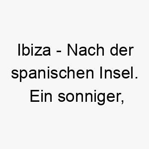 ibiza nach der spanischen insel ein sonniger froehlicher name fuer einen hund der das meer und das strandleben liebt 20485