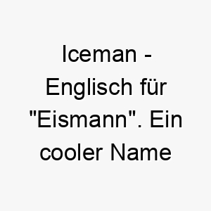 iceman englisch fuer eismann ein cooler name fuer einen ruhigen und gesammelten hund 20471