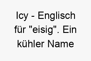 icy englisch fuer eisig ein kuehler name fuer einen hund mit weissem fell oder fuer einen hund der das kalte wetter liebt 20394