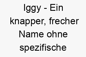 iggy ein knapper frecher name ohne spezifische bedeutung aber beliebt fuer hunde 20455