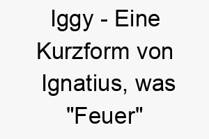 iggy eine kurzform von ignatius was feuer bedeutet ein feuriger name fuer einen lebhaften energiegeladenen hund 20383