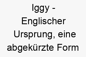 iggy englischer ursprung eine abgekuerzte form von ignatius was feurig bedeutet bedeutung als hundename passend fuer einen energischen oder leidenschaftlichen hund 14927