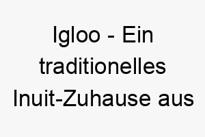 igloo ein traditionelles inuit zuhause aus eisbloecken ein passender name fuer einen hund der kaltes wetter liebt oder fuer einen hund mit einer runden form 20496