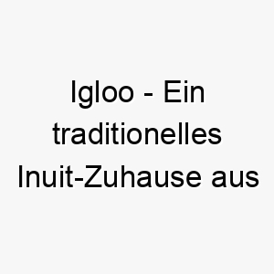 igloo ein traditionelles inuit zuhause aus eisbloecken ein passender name fuer einen hund der kaltes wetter liebt oder fuer einen hund mit einer runden form 20496