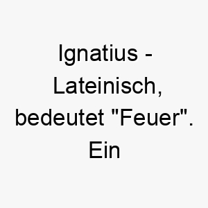 ignatius lateinisch bedeutet feuer ein feuriger name fuer einen lebhaften energiegeladenen hund 20413