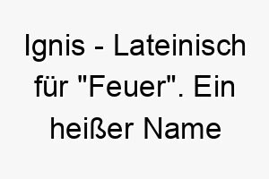 ignis lateinisch fuer feuer ein heisser name fuer einen energiegeladenen hund 20459