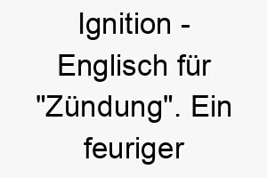 ignition englisch fuer zuendung ein feuriger name fuer einen energiegeladenen hund 20442