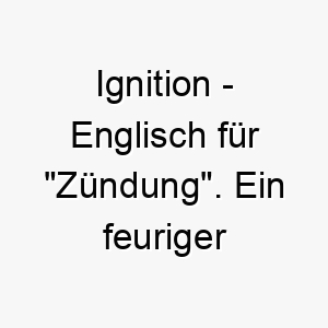 ignition englisch fuer zuendung ein feuriger name fuer einen energiegeladenen hund 20442