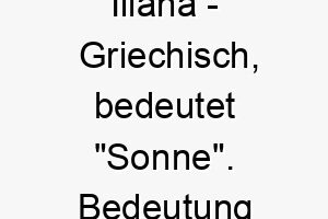 iliana griechisch bedeutet sonne bedeutung als hundename passend fuer einen strahlenden oder energiegeladenen hund 14988