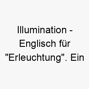 illumination englisch fuer erleuchtung ein leuchtender name fuer einen hund mit einer hellen strahlenden persoenlichkeit 20403