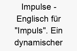 impulse englisch fuer impuls ein dynamischer name fuer einen energiegeladenen hund der immer in bewegung ist 20507