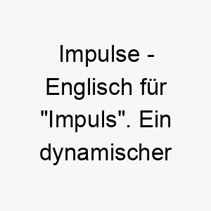 impulse englisch fuer impuls ein dynamischer name fuer einen energiegeladenen hund der immer in bewegung ist 20507