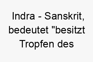 indra sanskrit bedeutet besitzt tropfen des regens bedeutung als hundename passend fuer einen lebhaften oder energiegeladenen hund 14942