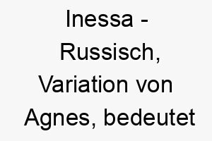 inessa russisch variation von agnes bedeutet rein heilig bedeutung als hundename ideal fuer einen reinen oder anmutigen hund 14944