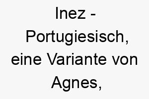 inez portugiesisch eine variante von agnes bedeutet rein bedeutung als hundename perfekt fuer einen unschuldigen oder reinen hund 15060