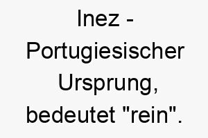 inez portugiesischer ursprung bedeutet rein bedeutung als hundename geeignet fuer einen reinrassigen oder anmutigen hund 14926