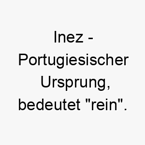 inez portugiesischer ursprung bedeutet rein bedeutung als hundename geeignet fuer einen reinrassigen oder anmutigen hund 14926