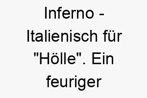 inferno italienisch fuer hoelle ein feuriger name fuer einen hund mit einer leidenschaftlichen intensiven persoenlichkeit 20393