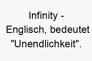 infinity englisch bedeutet unendlichkeit bedeutung als hundename ideal fuer einen unerschoepflichen oder unendlich liebenswerten hund 14935