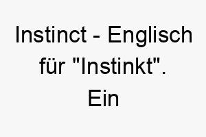 instinct englisch fuer instinkt ein passender name fuer einen hund der sehr intuitiv und instinktiv handelt 20505