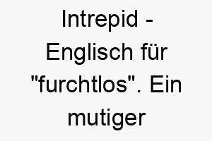 intrepid englisch fuer furchtlos ein mutiger name fuer einen wagemutigen abenteuerlustigen hund 20494