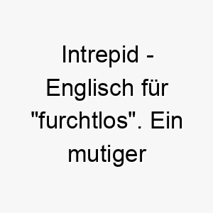 intrepid englisch fuer furchtlos ein mutiger name fuer einen wagemutigen abenteuerlustigen hund 20494