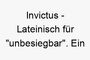 invictus lateinisch fuer unbesiegbar ein starker name fuer einen unerschuetterlichen mutigen hund 20504