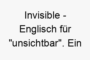 invisible englisch fuer unsichtbar ein geheimnisvoller name fuer einen hund der sich gerne versteckt oder schwer zu fassen ist 20437