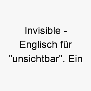 invisible englisch fuer unsichtbar ein geheimnisvoller name fuer einen hund der sich gerne versteckt oder schwer zu fassen ist 20437