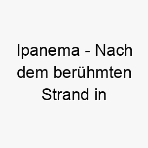 ipanema nach dem beruehmten strand in brasilien ein sommerlicher name fuer einen hund der das wasser und den strand liebt 20407