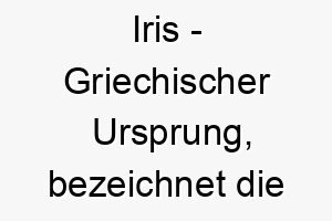 iris griechischer ursprung bezeichnet die regenbogengoettin bedeutung als hundename passend fuer einen farbenfrohen oder froehlichen hund 14915