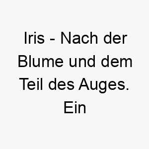 iris nach der blume und dem teil des auges ein schoener name fuer einen hund mit auffallenden augen oder fuer einen hund der gerne im garten ist 20386