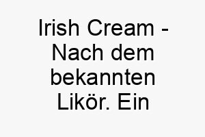 irish cream nach dem bekannten likoer ein suesser und cremiger name fuer einen hellbraunen hund 20489