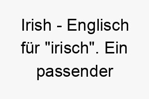 irish englisch fuer irisch ein passender name fuer einen hund mit irischen wurzeln oder einem froehlichen lebhaften charakter 20432