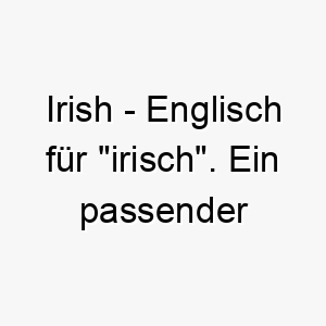 irish englisch fuer irisch ein passender name fuer einen hund mit irischen wurzeln oder einem froehlichen lebhaften charakter 20432