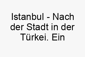 istanbul nach der stadt in der tuerkei ein kulturell angehauchter name fuer einen hund der exotische orte liebt oder eine tiefe bindung zur tuerkischen kultur hat 20418