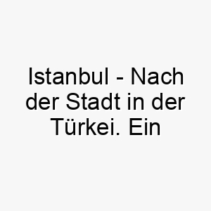 istanbul nach der stadt in der tuerkei ein kulturell angehauchter name fuer einen hund der exotische orte liebt oder eine tiefe bindung zur tuerkischen kultur hat 20418