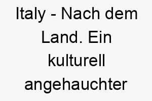 italy nach dem land ein kulturell angehauchter name fuer einen hund mit italienischer herkunft oder fuer einen hund der italienisches essen liebt 20389