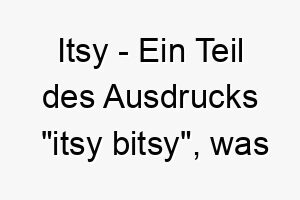 itsy ein teil des ausdrucks itsy bitsy was sehr klein bedeutet ein passender name fuer einen kleinen hund 20416