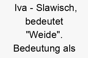 iva slawisch bedeutet weide bedeutung als hundename ideal fuer einen sanften oder liebevollen hund 15056